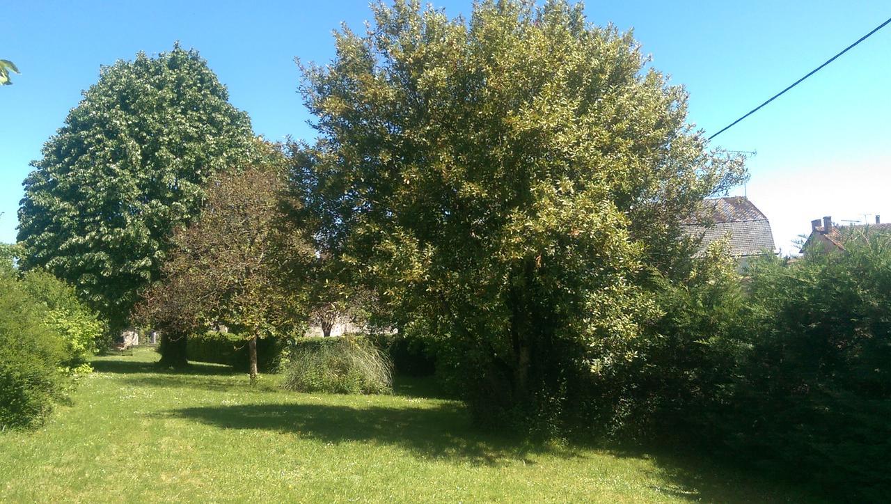 Vingt Grand Rue Bed & Breakfast Champagne-Mouton Bagian luar foto
